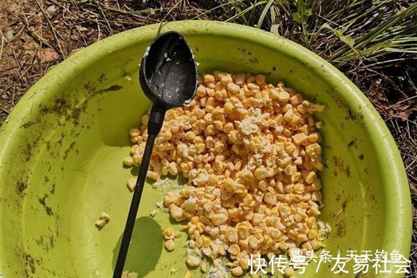 钓不到大鱼，未必是鱼少，可能方法不对试试这几招，一钓一个准