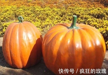 葫芦|孕妇梦到这4件事,预示会生儿子是吉兆,且将来会成为栋梁之才