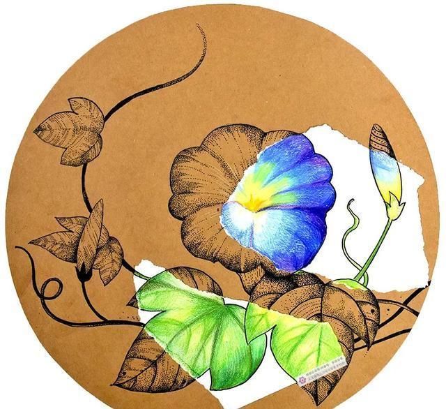  儿童画|儿童画教程一张纸上的两种表现方式--美丽的牵牛花