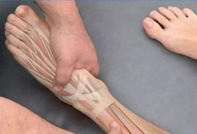 脚掌|学生这“3部位”越长,说明身高还能再“发育”,长大后妥妥的大高个