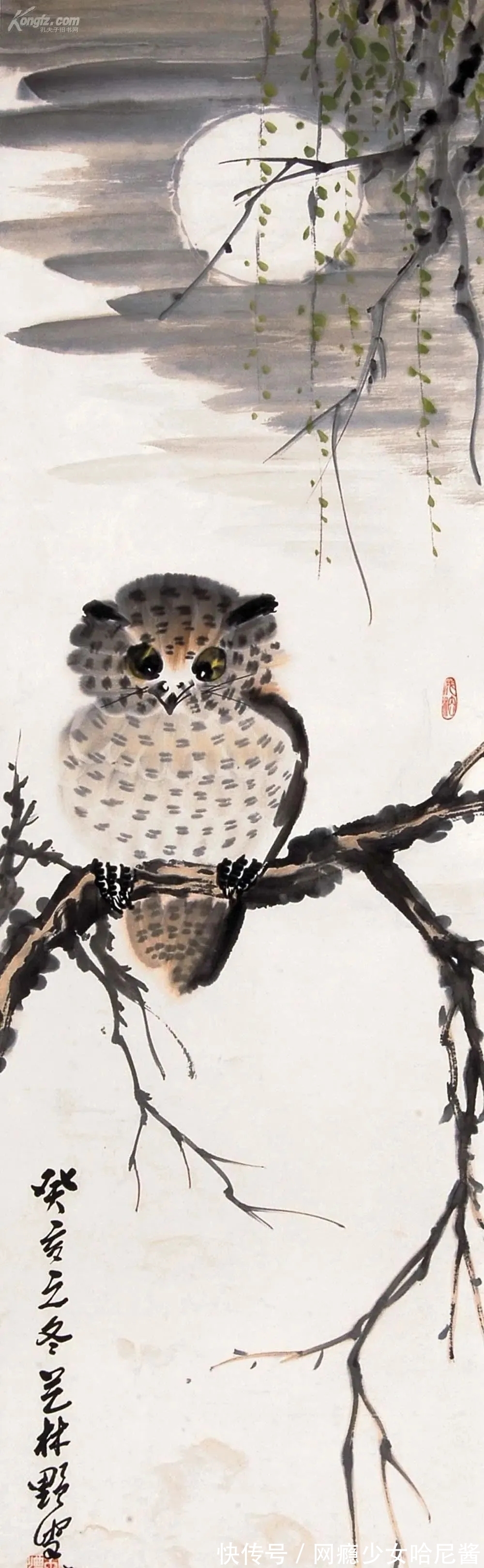 花鸟画@随心所欲、自然天成｜蒋雨浓写意花鸟画