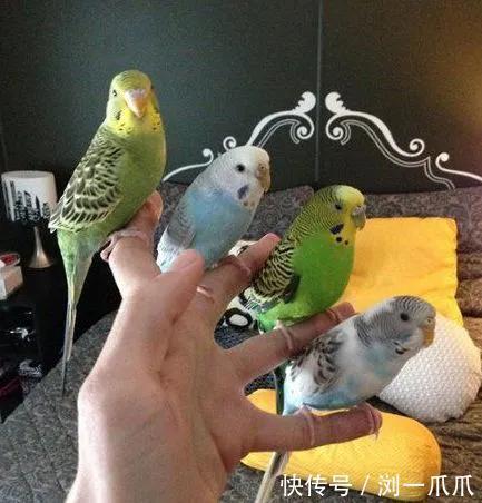 |搞笑GIF:有这样的男朋友,给老娘来一打