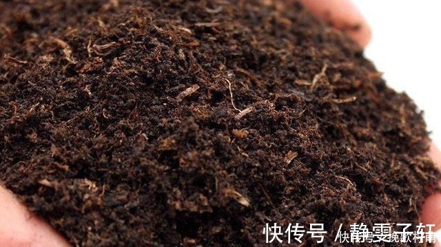 香蕉皮|养花旧土不要扔,掺上“三废料”,肥力“赛过”营养土!