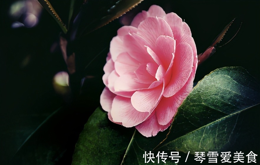 大姨|儿女成家后,和亲家相处做到2点就够了,很重要