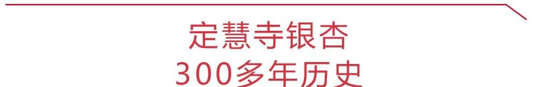 美上热搜！苏州这些百年古树你知道多少？