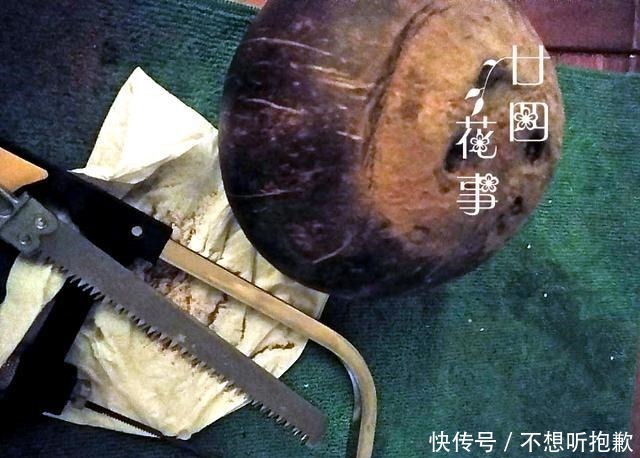 7种“废料”做花盆,一分钱不花,花盆用不完,比买的还精致!