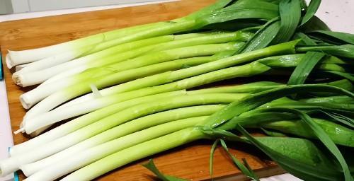 春天宁可不吃肉,也要吃此4种“芽菜”,好吃营养,错过要等一年