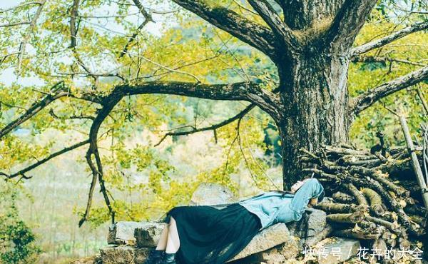 农村俗语“生不睡柳,死不睡杨”,是什么讲究?值得大家重视!