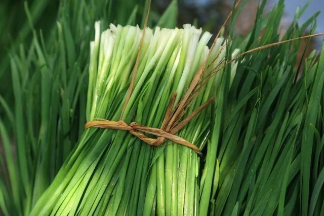 炒韭菜或拌韭菜馅时，别乱加调料！牢记“2加3不加”，鲜美不出水