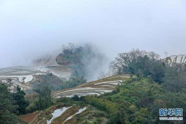 哈尼梯田|云南红河哈尼梯田：云雾缭绕似仙境