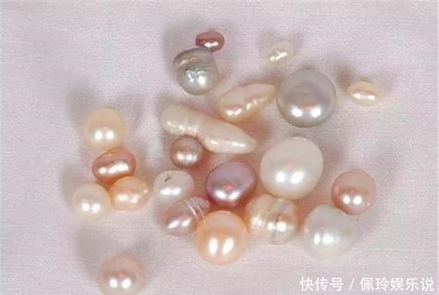 相城踏浪前行立潮头全“数”前进向未来(图1)