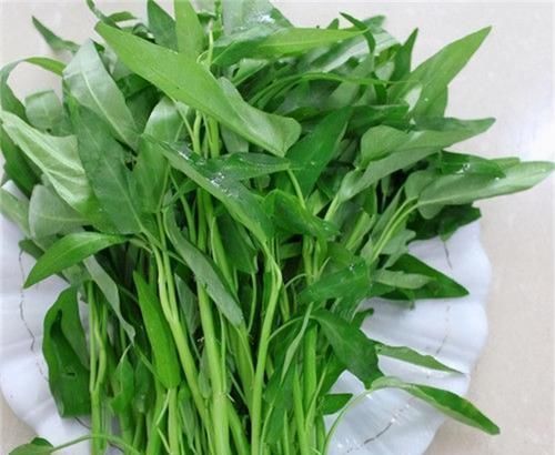 黄皮果黄皮果|会吃的人才健康,常吃3物,美容润肤、延缓衰老,更显年轻