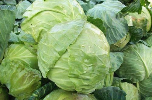 會吃的人才長壽，推薦以下食物，排毒護膚，潤腸通便，好處多多