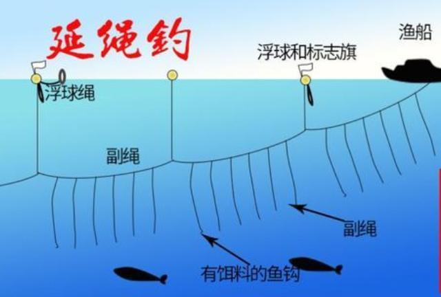 12月1日起,“一竿一线一钩成为过去钓鱼人的“春天”来了