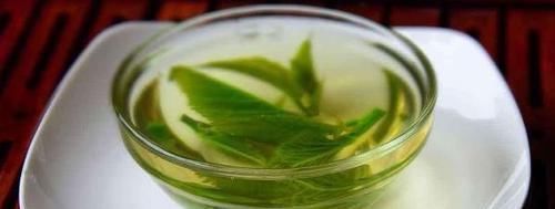 高血压最怕这种叶子,每天坚持泡水喝,让血压“甘拜下风”