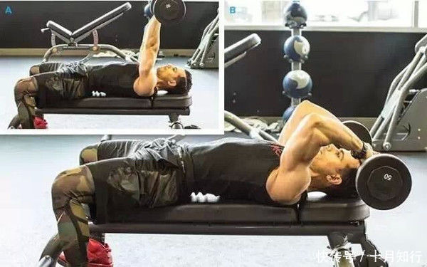 仰卧臂屈伸|仰卧臂屈伸动作解析，帮你了解动作正确完成，发挥动作优势练三头