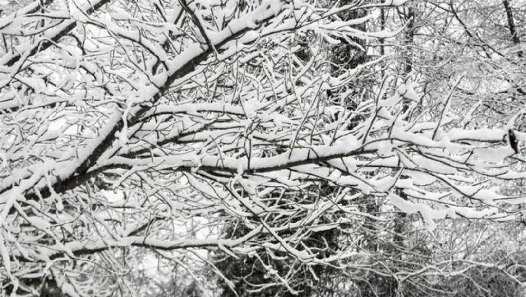 杨万里流传很广的两首咏雪名篇,不仅写出了新意,同时还美得惊艳