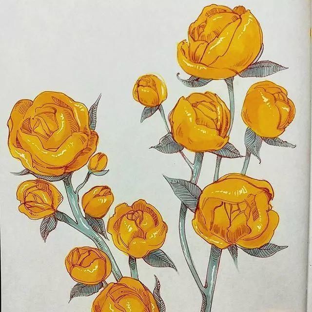 线条性$最怕长的美,还会画画的女孩子,这才是速写该有的线条啊