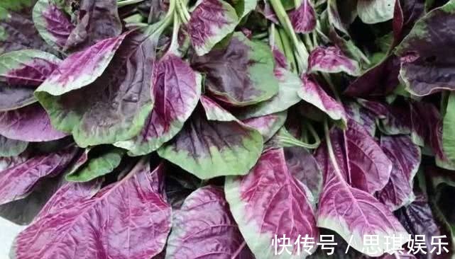 红苋菜|女性不想显老,不妨多吃此食物,清理肠胃,排毒润肠,早吃早好!