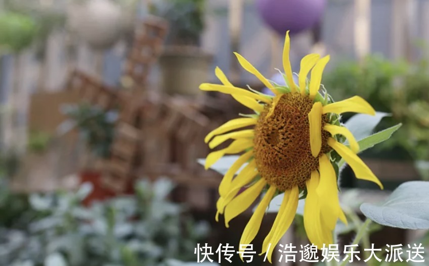改造|30㎡房屋大改造，装出“3房1厅”，功能强大，太实用了