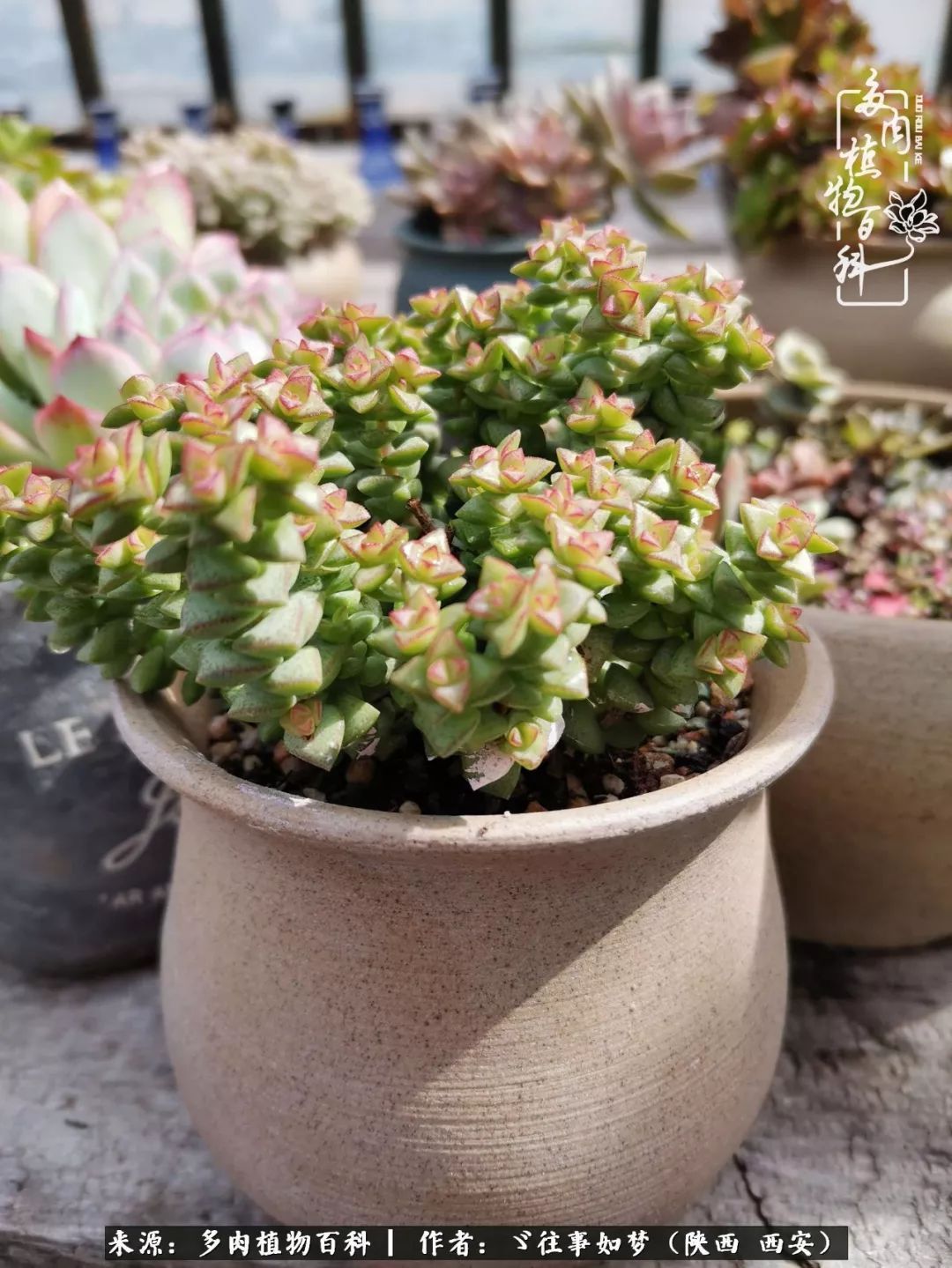 愿你付出甘之如饴,愿你所得归于欢喜!