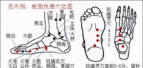  至趾为得气|你的脚上竟然藏着5个抗癌穴，没事按揉或艾灸，为家人学习起来！