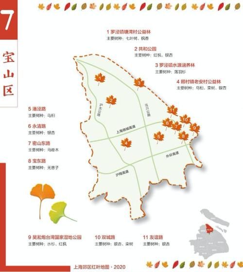 发布|2020版上海郊区红叶地图发布，沪郊最美秋色等你去打卡