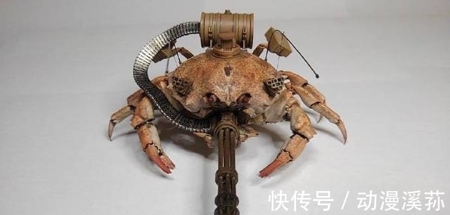 坦克|前有手工大佬用蟹壳拼机器人，今有日本网友用螃蟹设计坦克