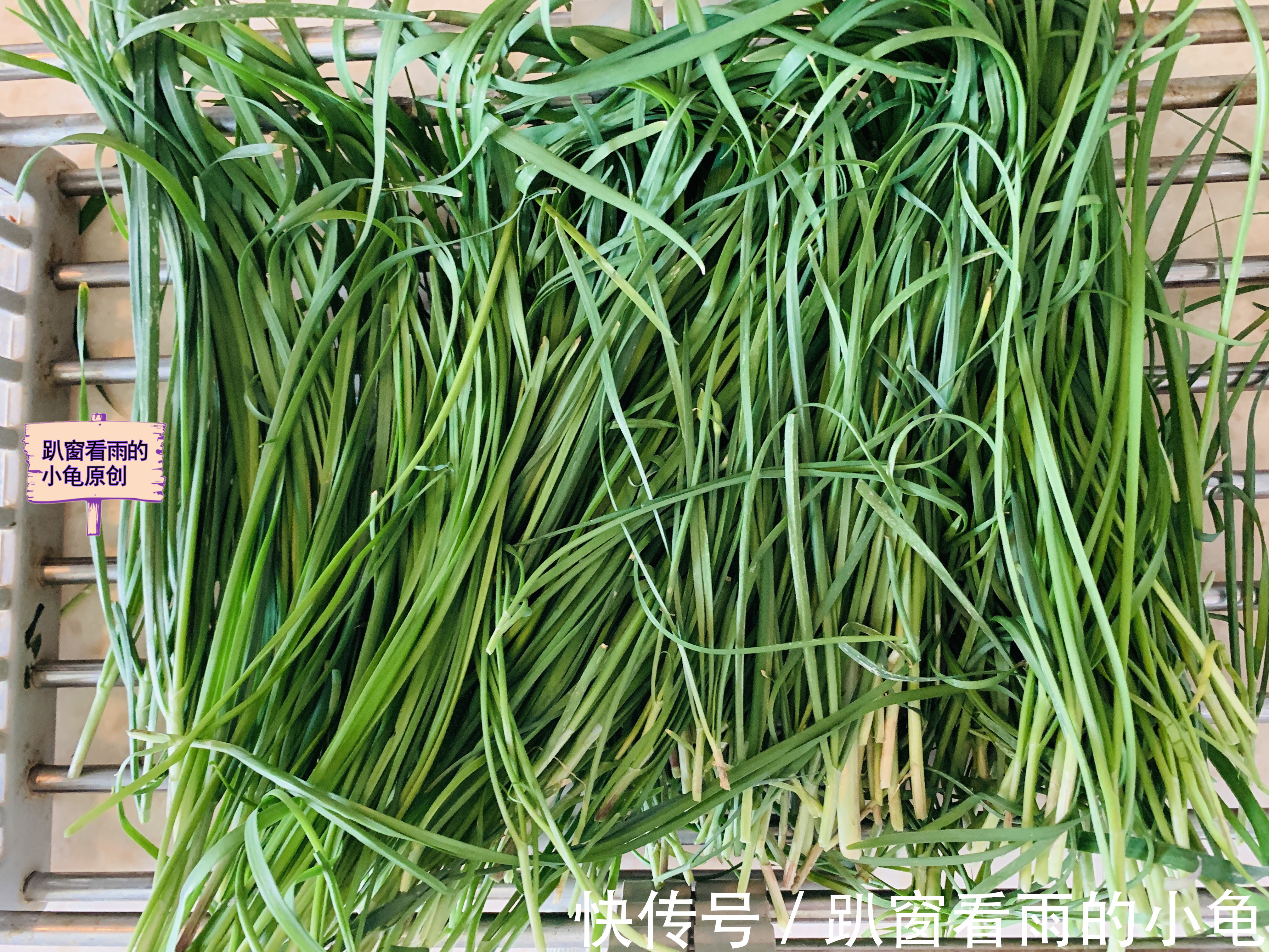 腌黄瓜|秋天，韭菜腌着吃，是三餐必备的百搭小菜，开胃下饭，放一年不坏