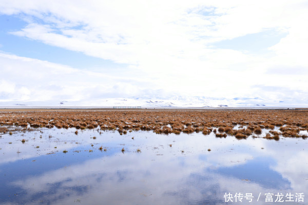 若尔盖花湖不飞花，却是中国最美的高寒湿地