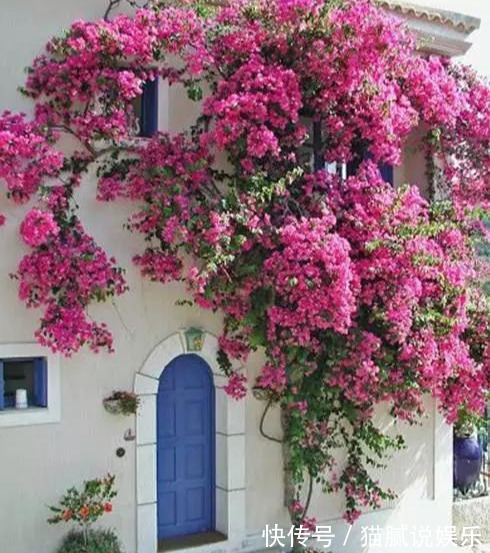 这9种花园，随便1个都美上天了，有一种这辈子就满足了！