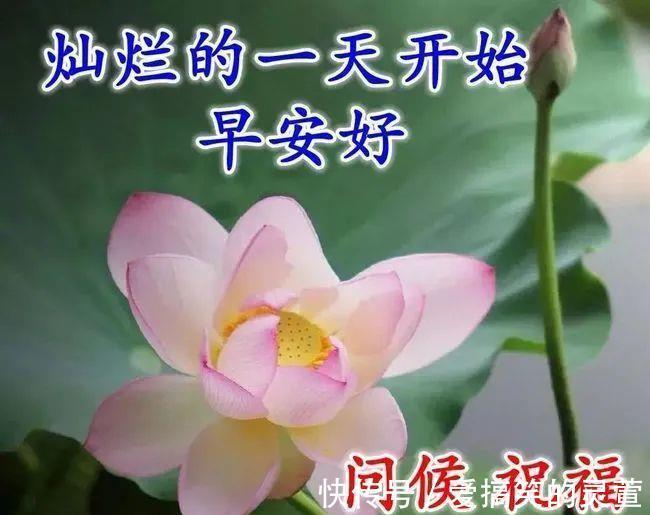 早安|早上好朋友，最棒早安问候祝福语动画表情动态图片，温馨早安问候语图片