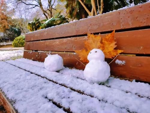 冬夜|冬夜霜雪落满头，我与巢院共白首