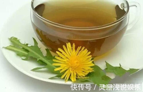 蒲公英|自己晒干蒲公英能当茶喝吗?看完这个你就知道了!