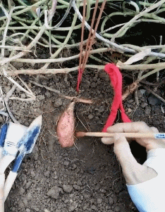 搞笑|搞笑GIF:兄弟,你该下高速了