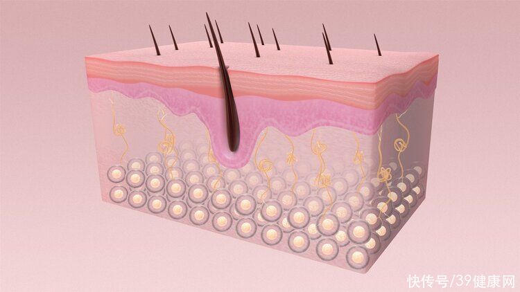 脑膜炎|鼻毛太长，可以拔掉吗？如果你鼻毛旺盛过长，将会得到3个好处