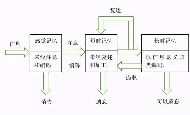 信息|为什么婴儿3岁后，以前的记忆都没了？心理学：是“童年失忆症”