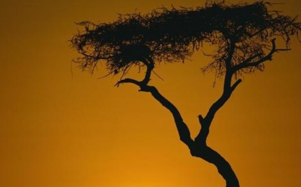 心思|千古绝对!乾隆:“口十心思,思妻思子,思父母”,纪晓岚下联成经典