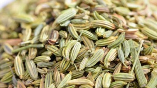 茴香|這味藥,只要放在枕頭邊聞一聞,秒治失眠、頸椎病