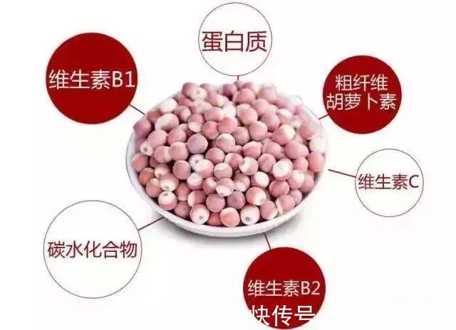 小便|1种果子“婴儿食之不老,老人食之延年”,肿瘤专家如此吃更好