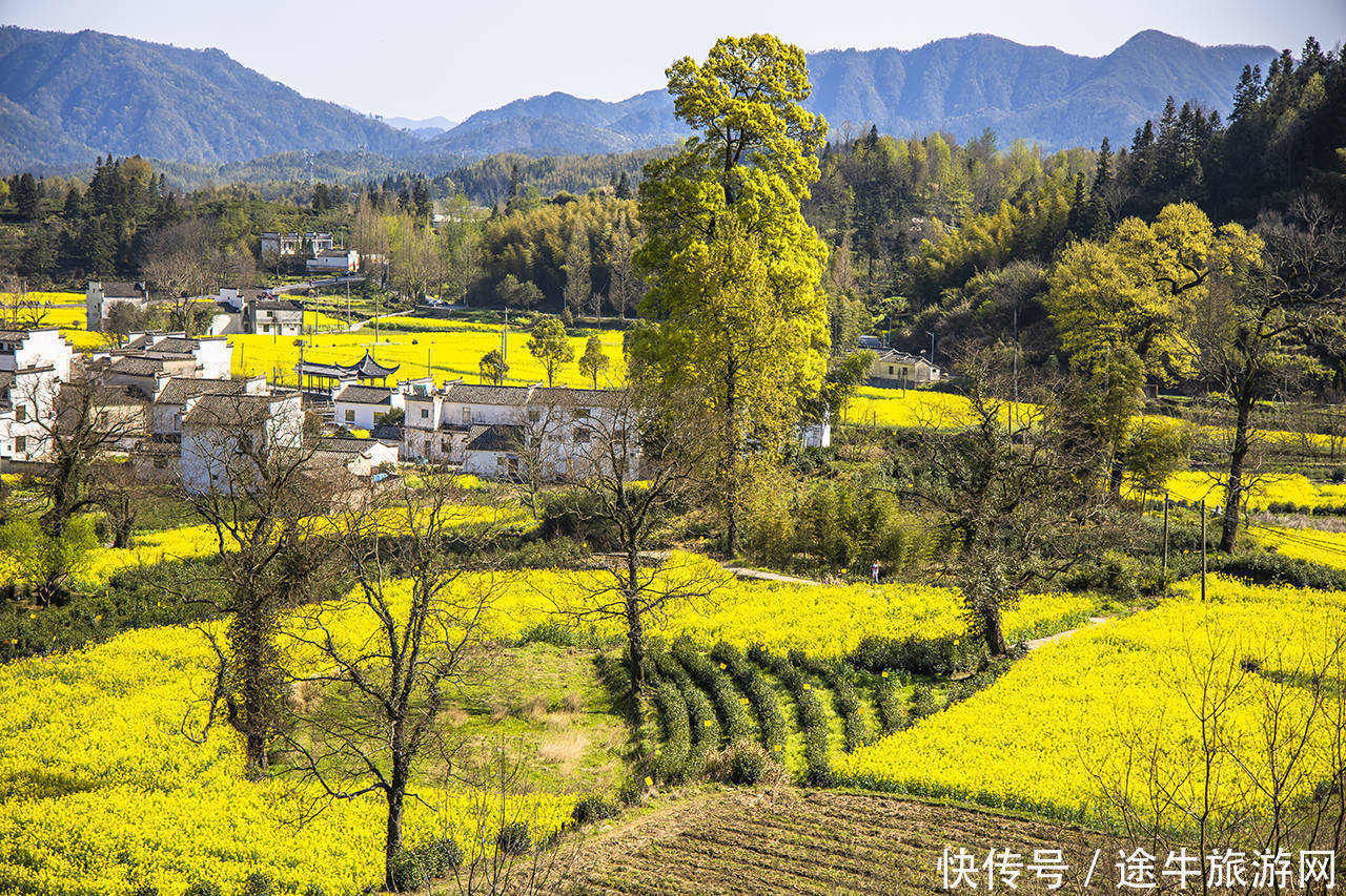 皖南古村“中国第一木雕楼”卢村