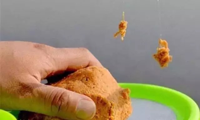 二月刚到，老钓鱼人就用这春钓秘诀，百试百灵，不想连竿都不行