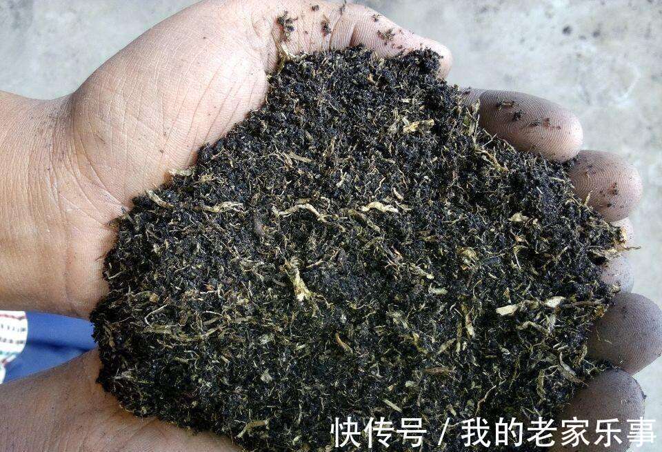 丢了腐叶土吧,捡“3种料”,掺和一起,就是养花万能土