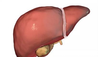 日常生活中|花生是肝病的“发物”?再次提醒:想要肝脏强壮,3物尽量少吃