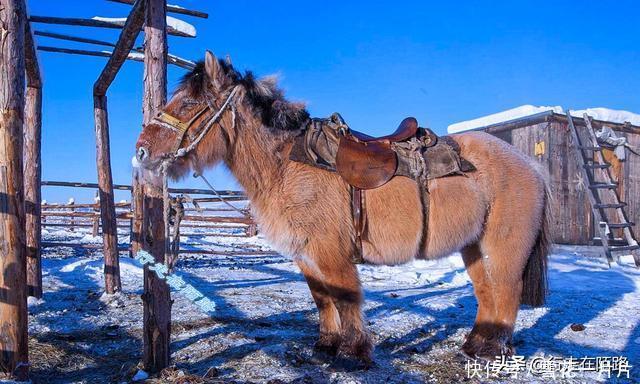 西伯利亚冷极：一年“冬眠”六个月，吃喝拉撒怎么解决？