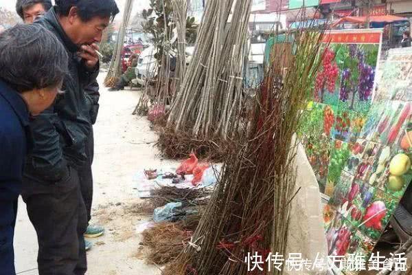 农村|农村集市上几种东西不要买！买了就上当了