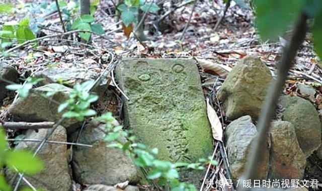 引入|15岁女儿被日军残害,老木匠跪下痛哭,将700日军引入山全歼