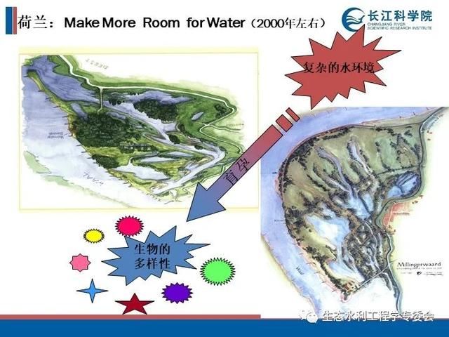 河流|「专家视角」许继军：河流生态修复理念、技术与实践