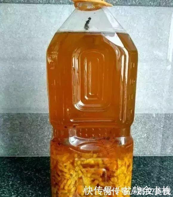浇花|盆里灌点饮料,盆土疏松有营养,10年不用换土花也长得旺