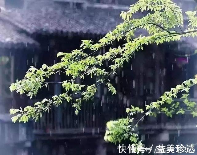 秋雨#一首写雨的词,全词无一雨字,雨却无处不在,淅淅沥沥下了千百年